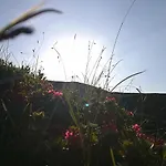 Apartman Herbst Wohnerlebnis *