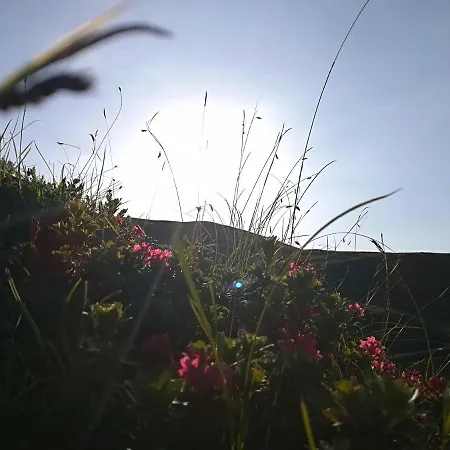 شقة Herbst Wohnerlebnis *