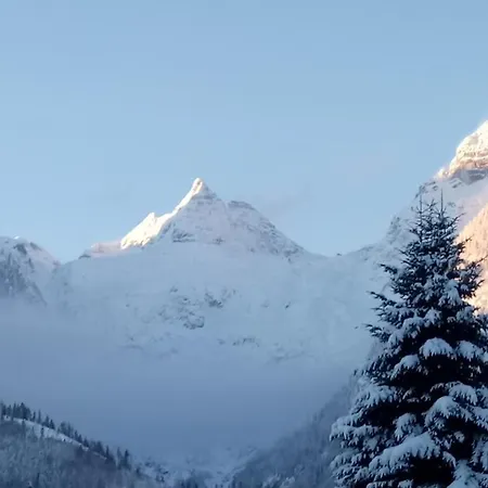 Daire Herbst Wohnerlebnis