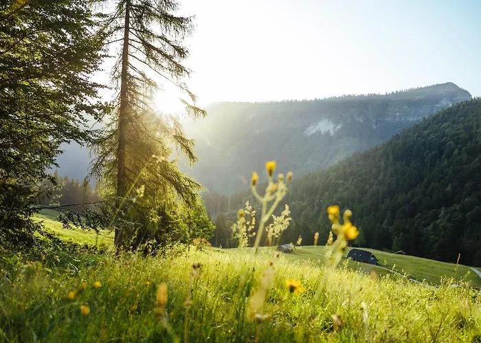 Herbst Wohnerlebnis *